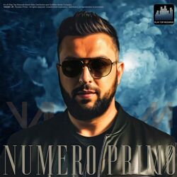 Cover of Numero Primo