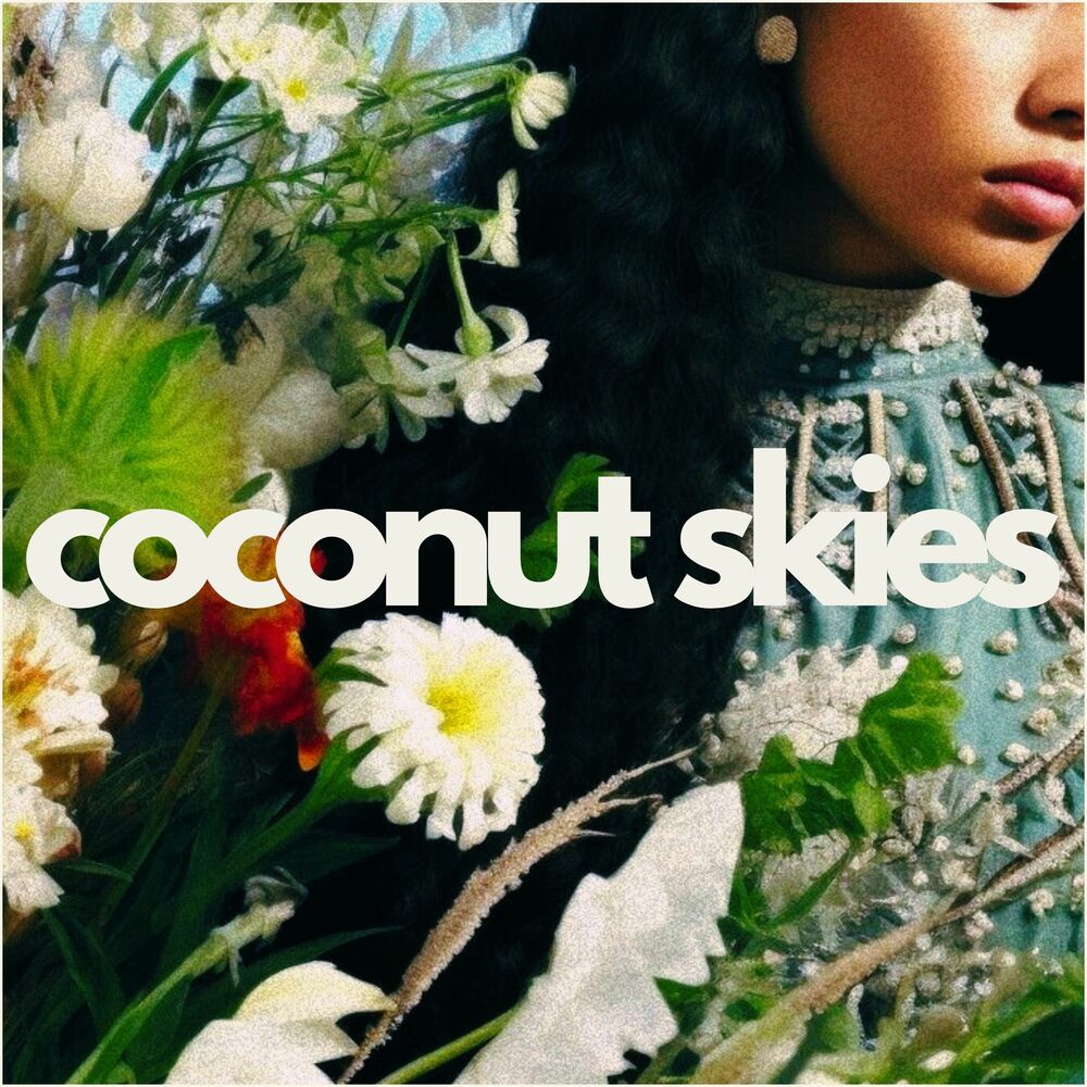 Picture of Coconut Skies: Viento y Sueños