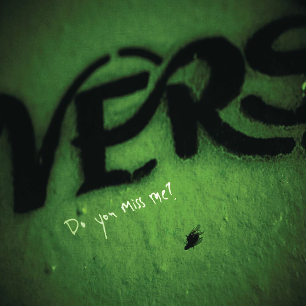 Picture of Do You Miss Me?