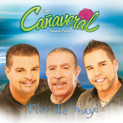 Cover of Flor De Mayo