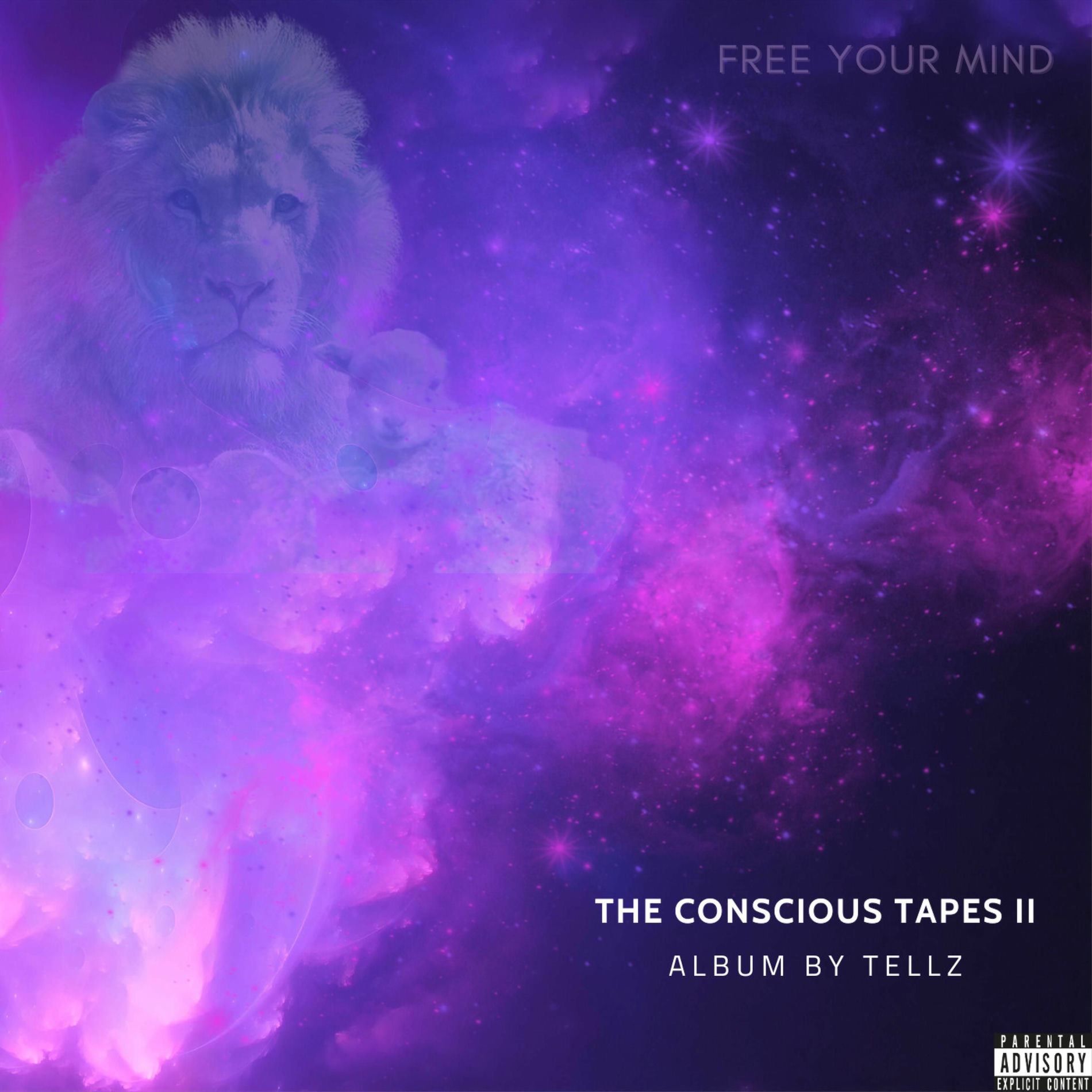 Album cover of The Conscious Tapes 2
