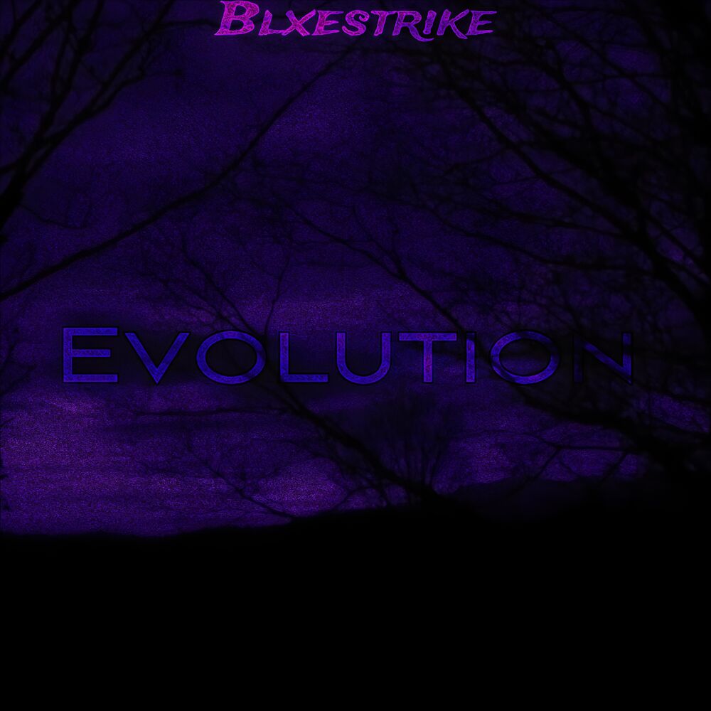 Picture of Evolution