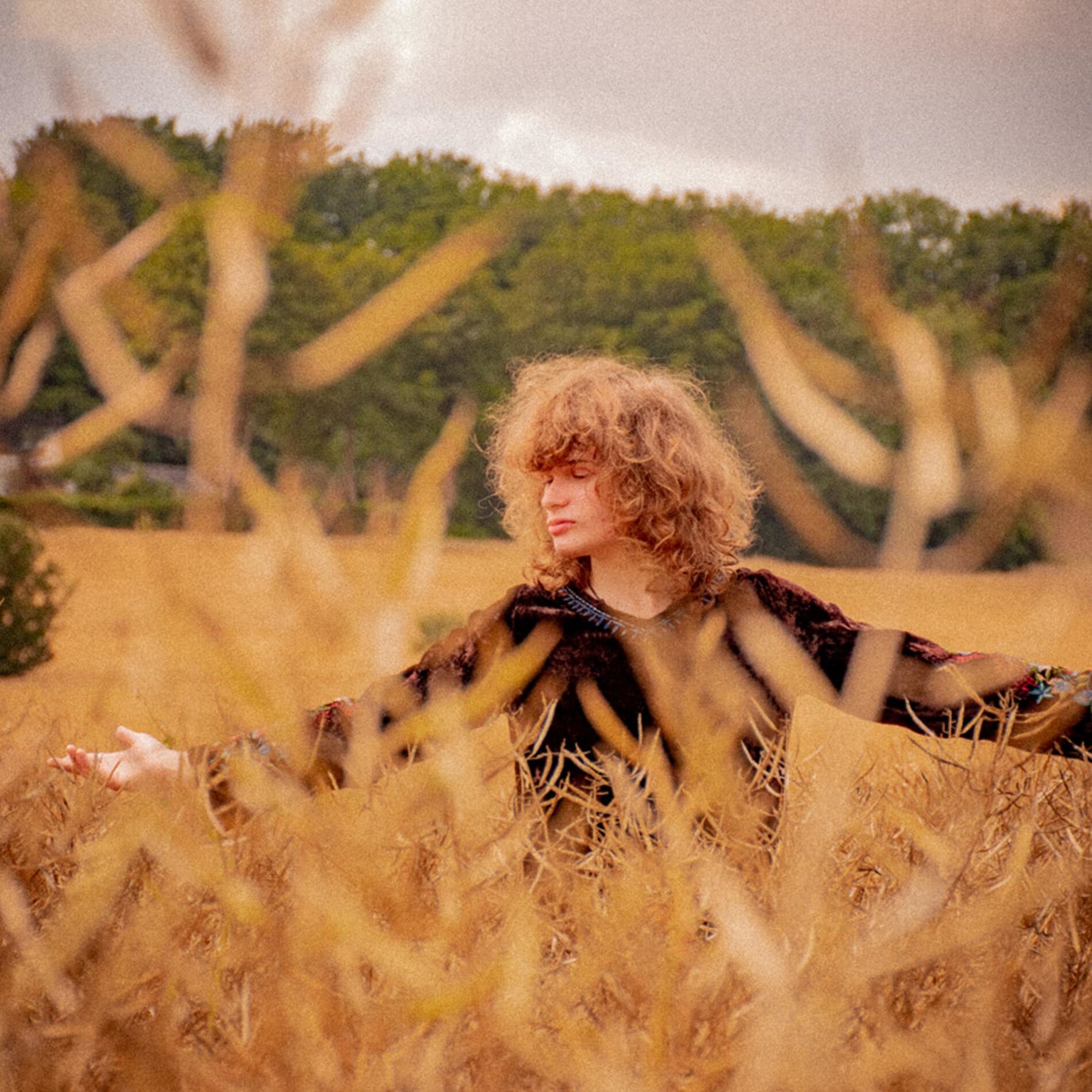Album cover of Lemon Sunshine