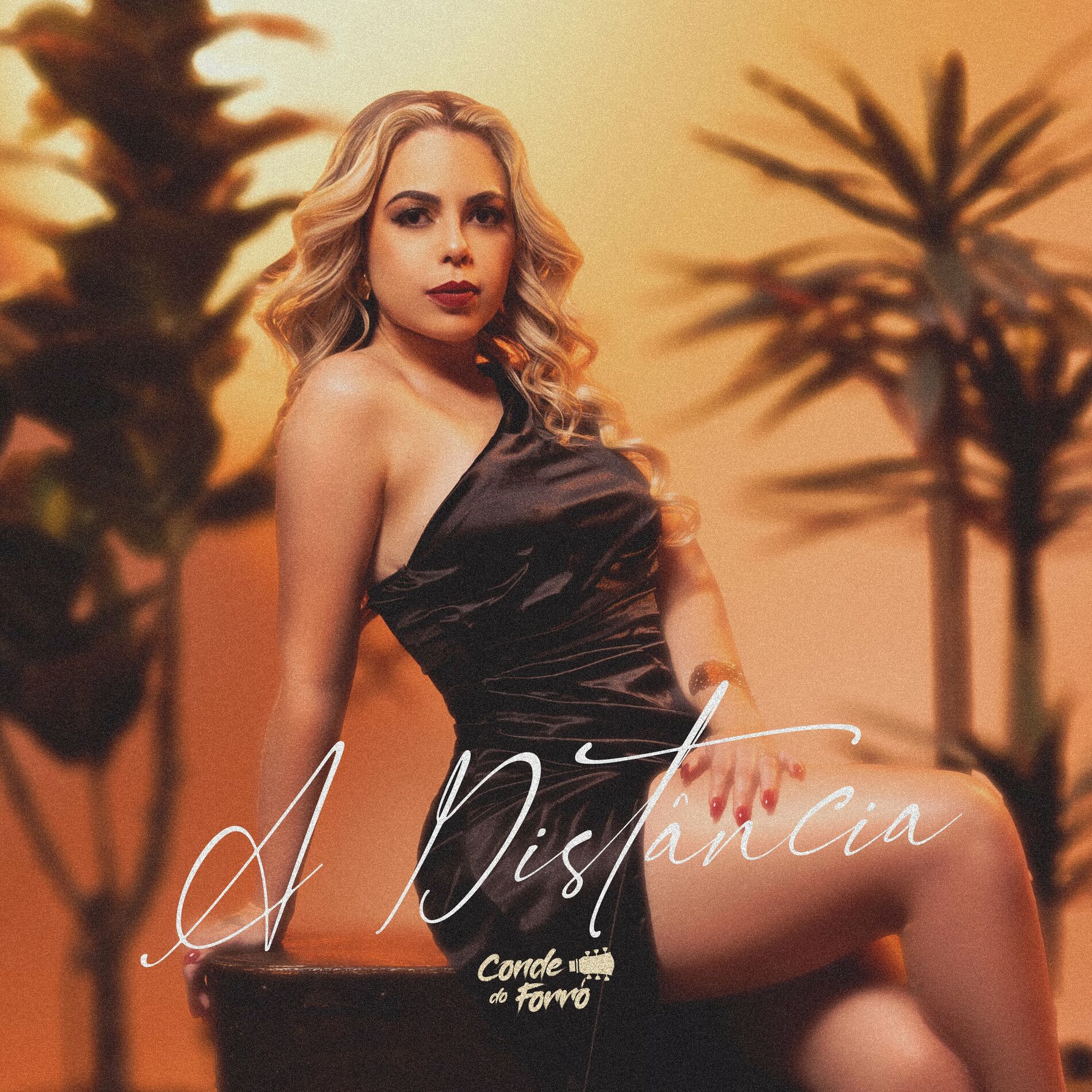 Album cover of A Distância