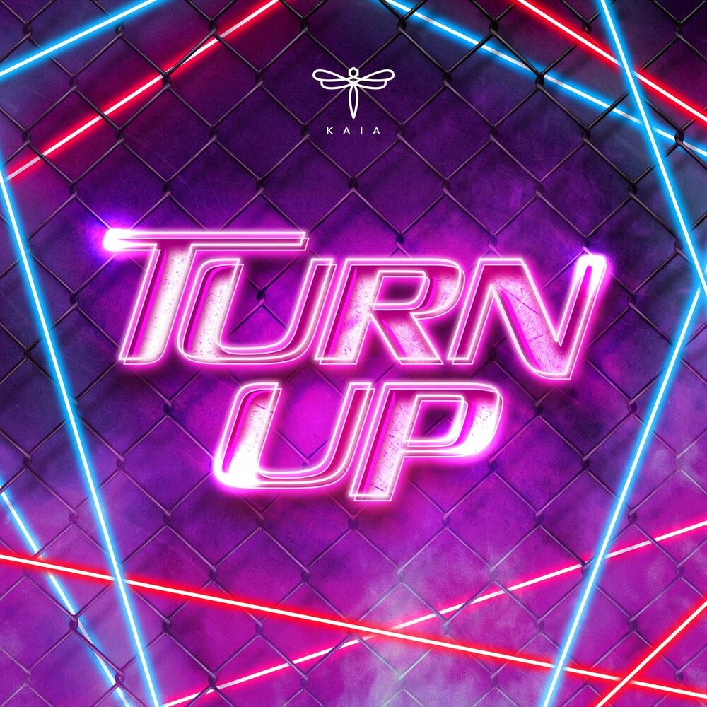 Picture of TURN UP