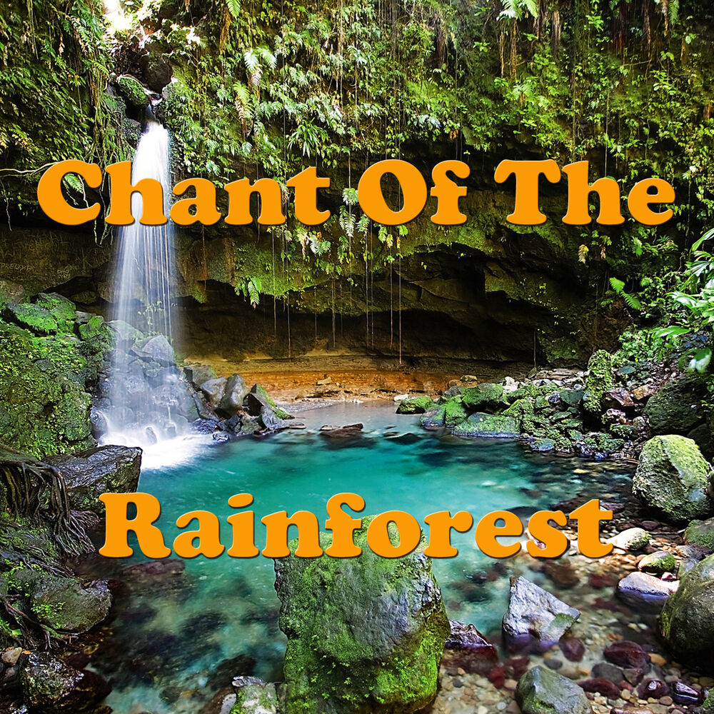 Picture of Chant Of The Rainforest