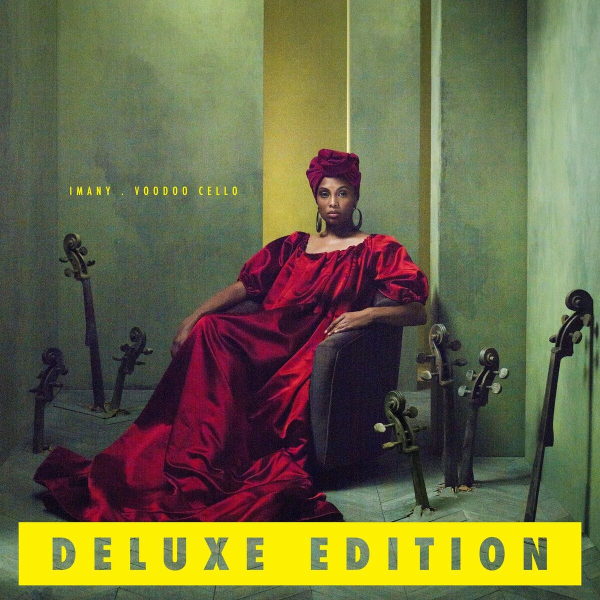 Album cover of Voodoo Cello (Deluxe Version)
