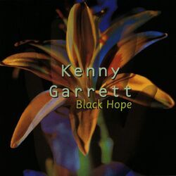 Cover of Black Hope