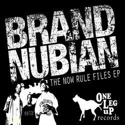 Cover of The Now Rule Files