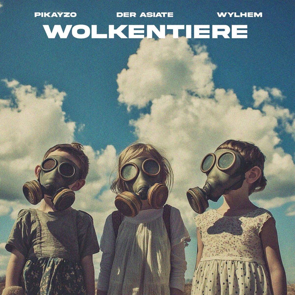 Album cover of Wolkentiere