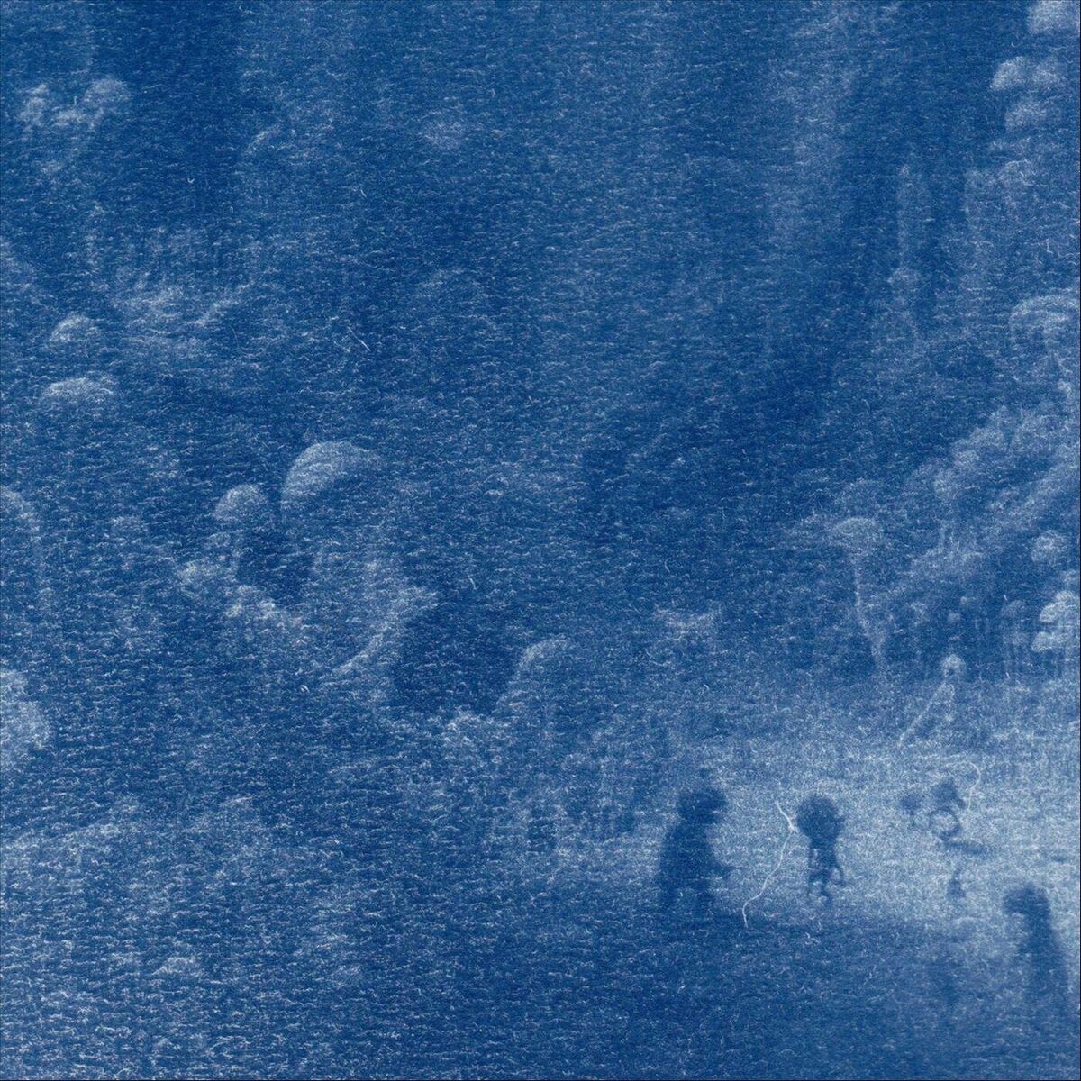 Album cover of Azure Forest