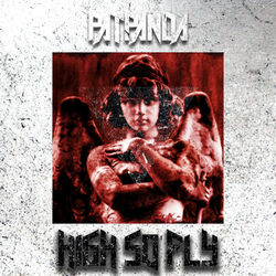 Cover of High So Fly