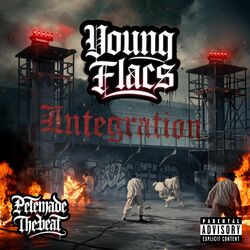 Cover of Integration