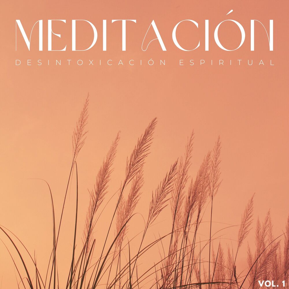 Picture of Meditación: Desintoxicación Espiritual Vol. 1