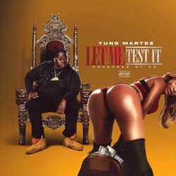 Cover of Let Me Test It