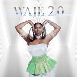 Cover of Waje 2.0
