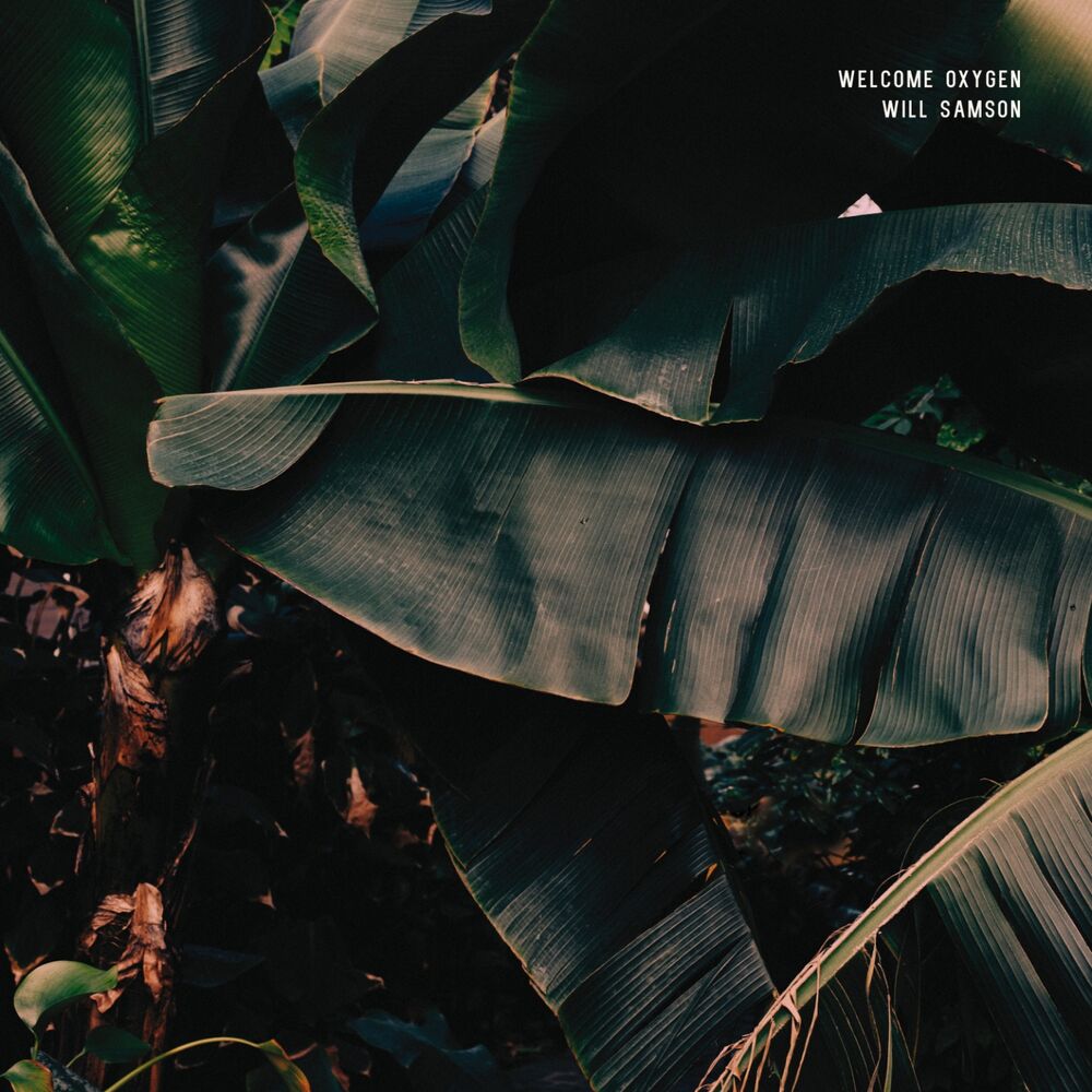 Picture of Find a Little Light (Day Six) [The Album Leaf Remix]