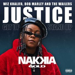Cover of Justice (Get Up, Stand Up)