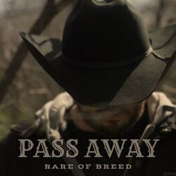 Cover of Pass Away