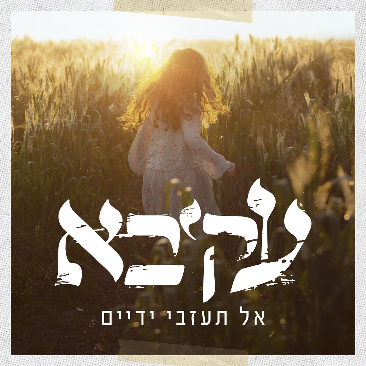 Album cover of ניגון ברדיצ'ב/ התבודדות