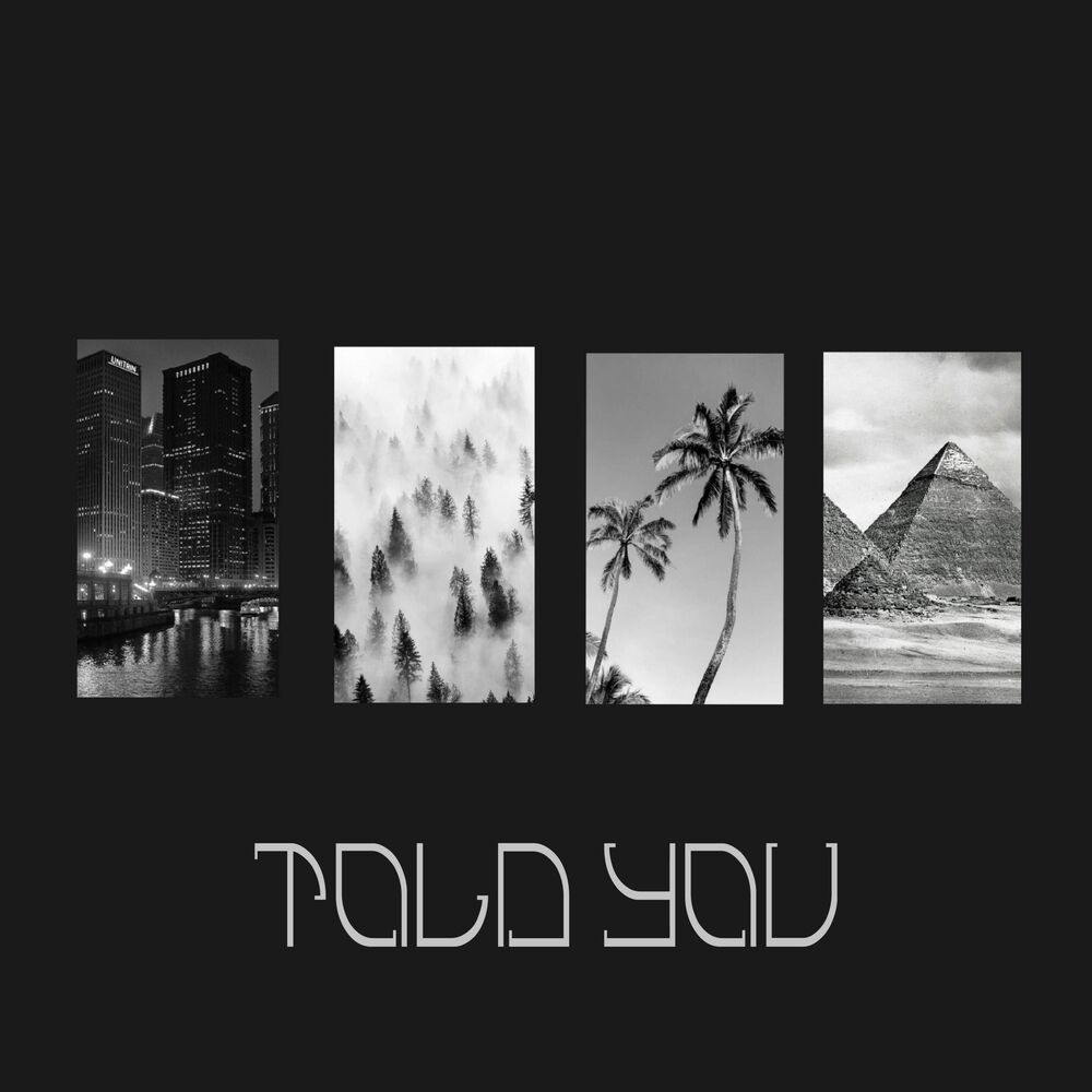 Picture of Told You