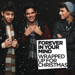 Cover of Wrapped Up for Christmas