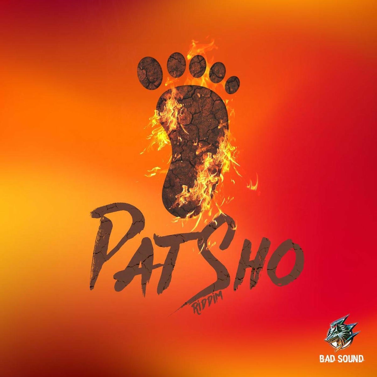 Album cover of Pat Sho Riddim