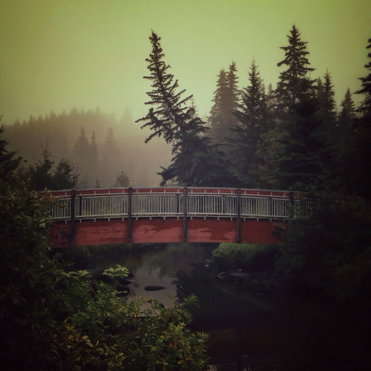 Album cover of Twilight Forest