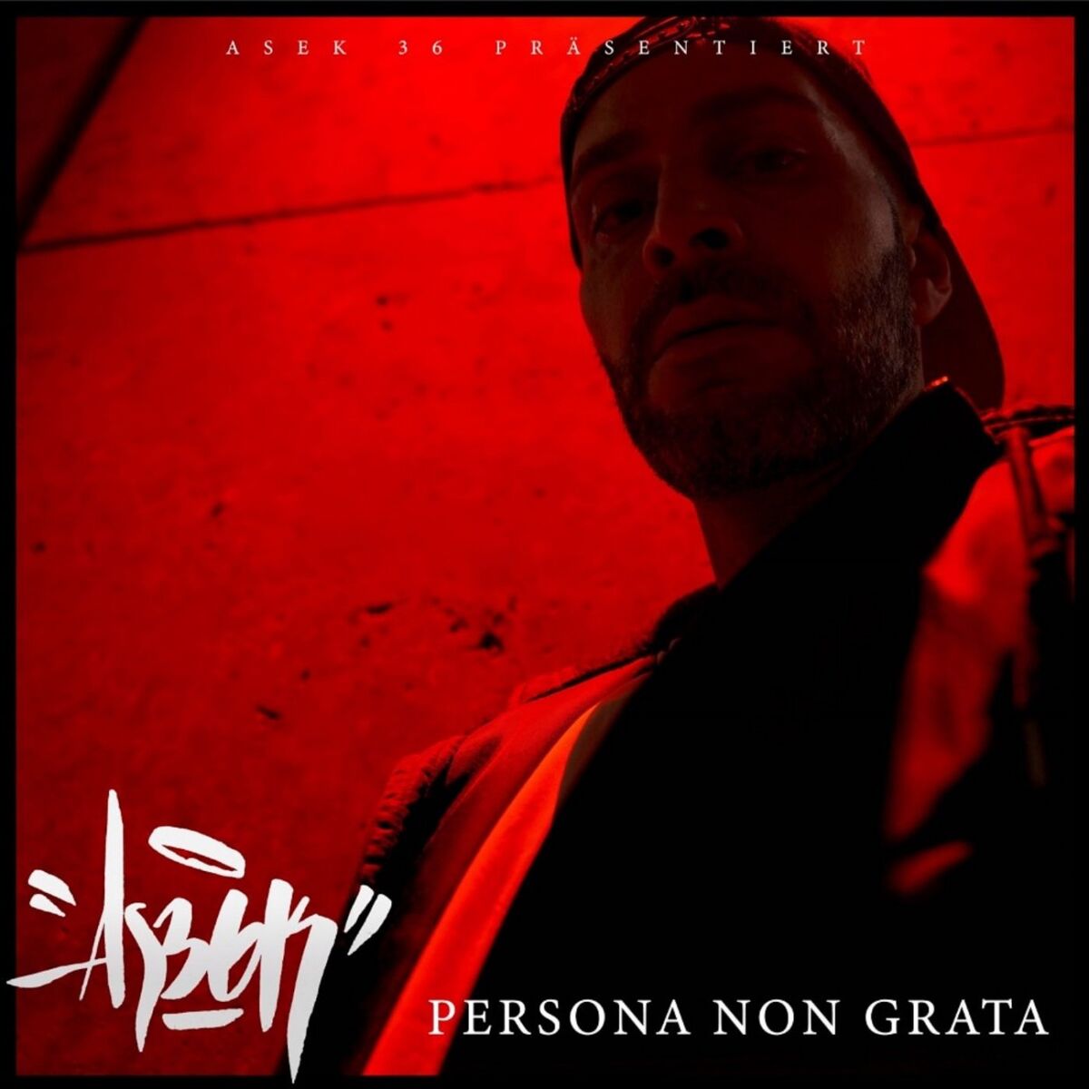 Album cover of Persona Non Grata