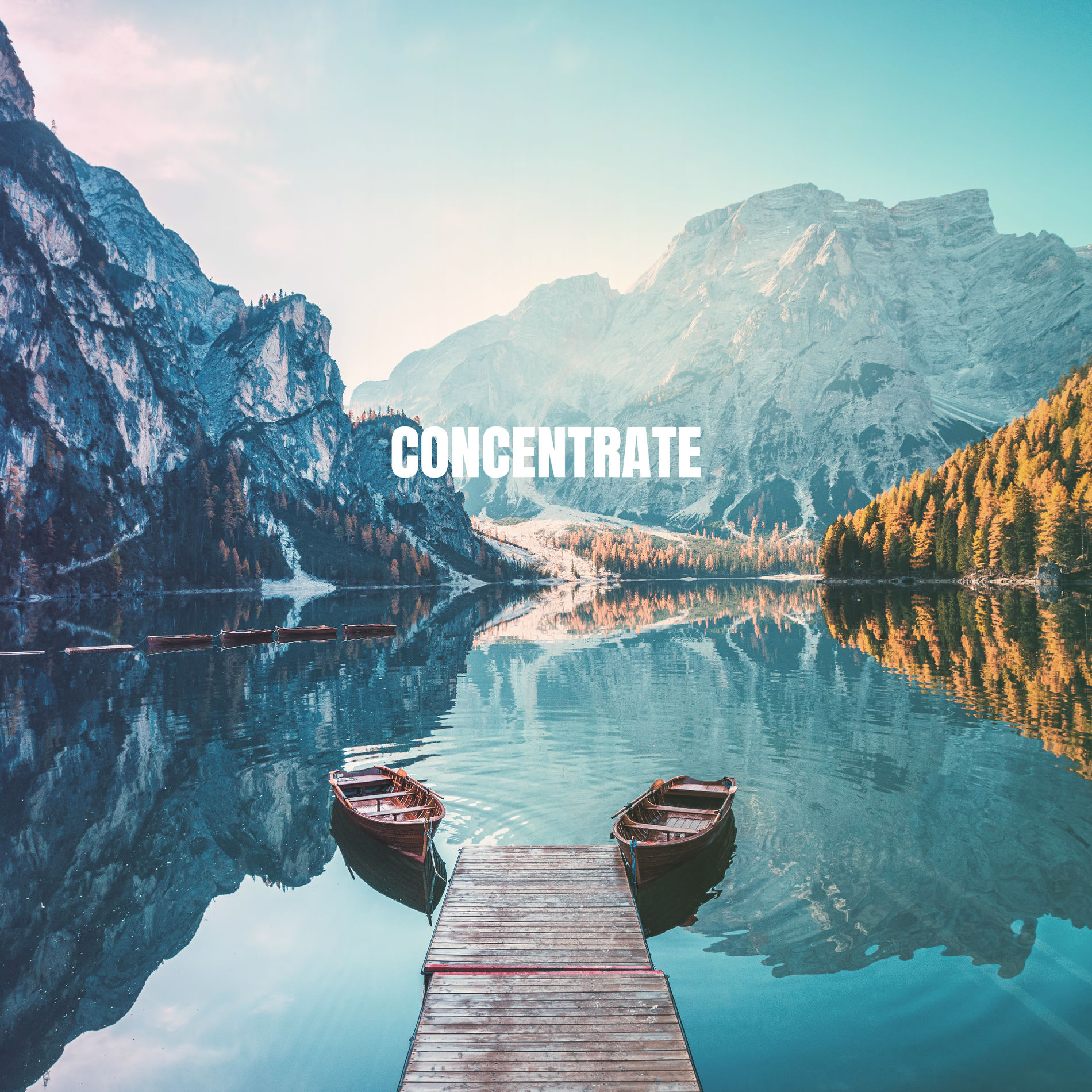 Album cover of Concentrate