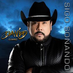 Cover of Sigo Soñando