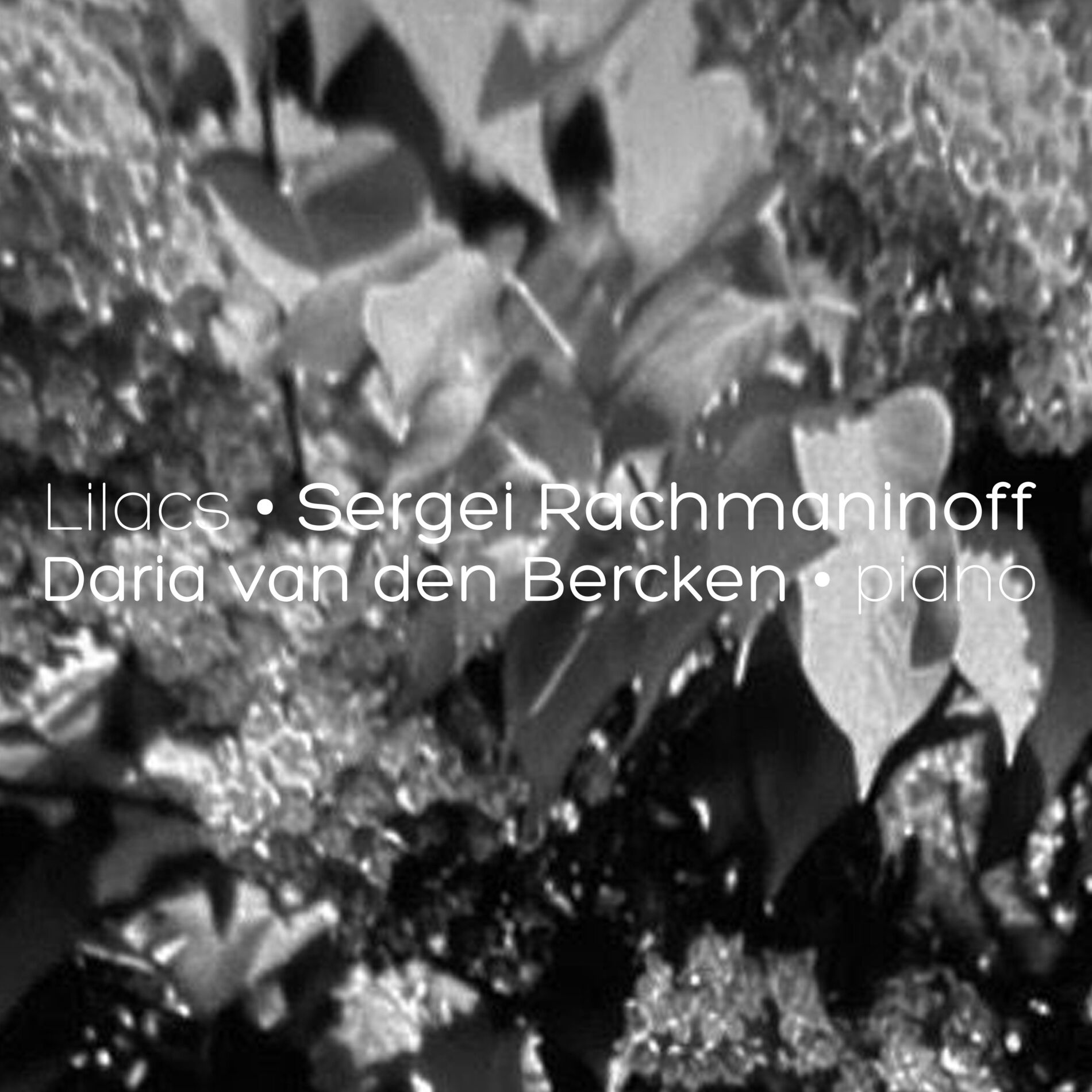 Album cover of 12 Songs, Op. 21: V. Lilacs (Transcr. Rachmaninoff for solo piano)