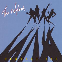 Cover of Perfect Fit