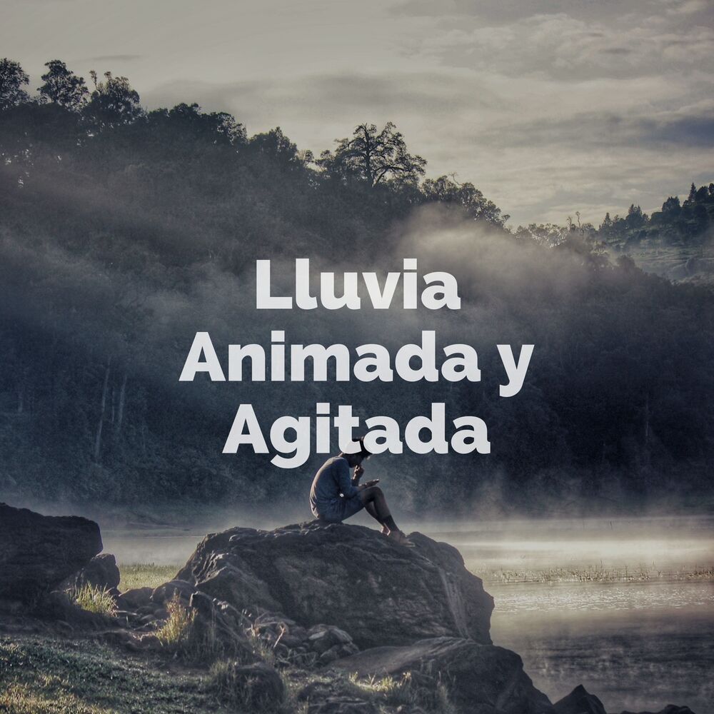 Picture of Lluvia Animada Y Agitada