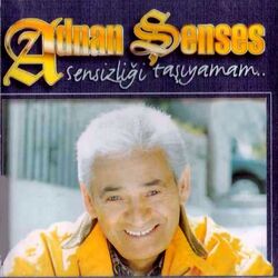 Cover of Sensizliği Taşıyamam
