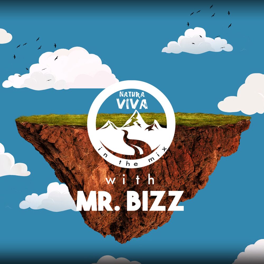 Picture of Natura Viva In The Mix With Mr. Bizz