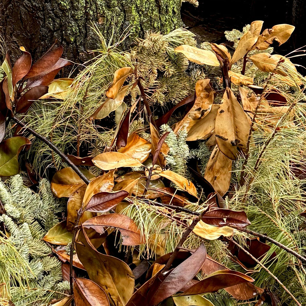 Album cover of One Night