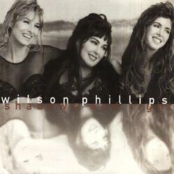 Cover of Shadows And Light