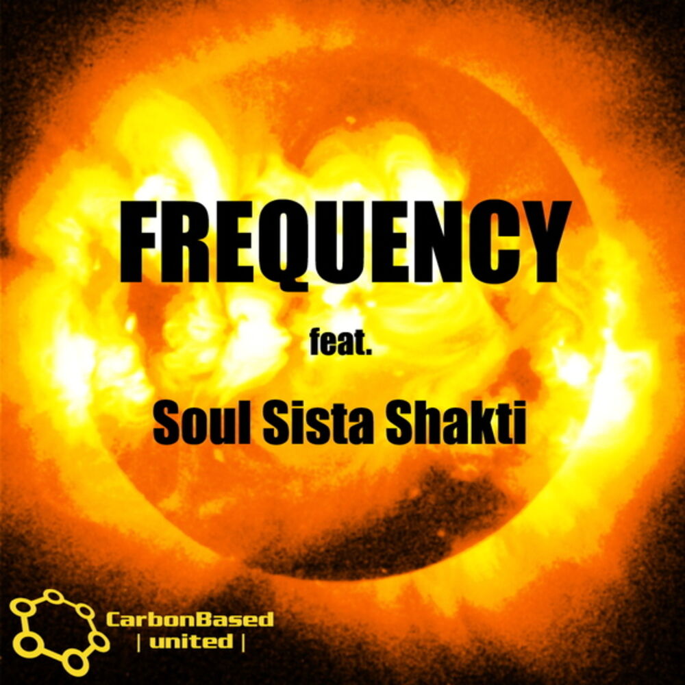 Picture of Frequency feat. Soul Sista Shakti