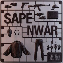 Cover of SAPE NWAR