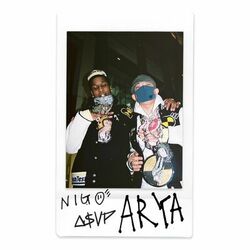 Cover of Arya