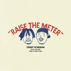 Cover of Raise the Meter