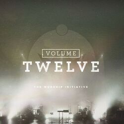 Cover of The Worship Initiative, Vol. 12