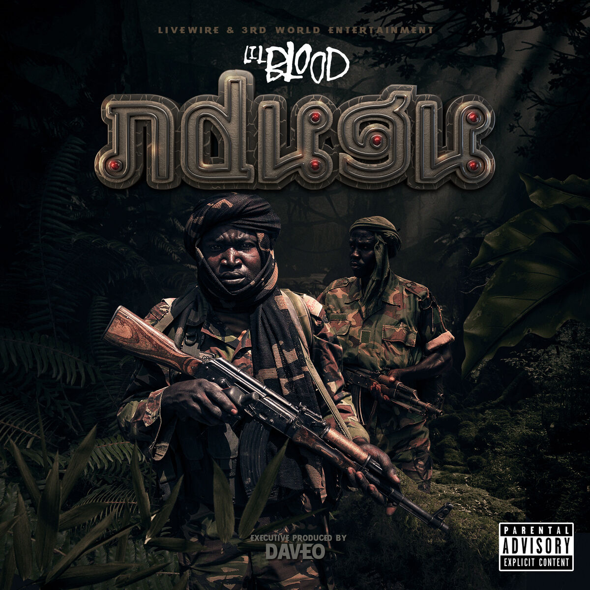 Album cover of Ndugu