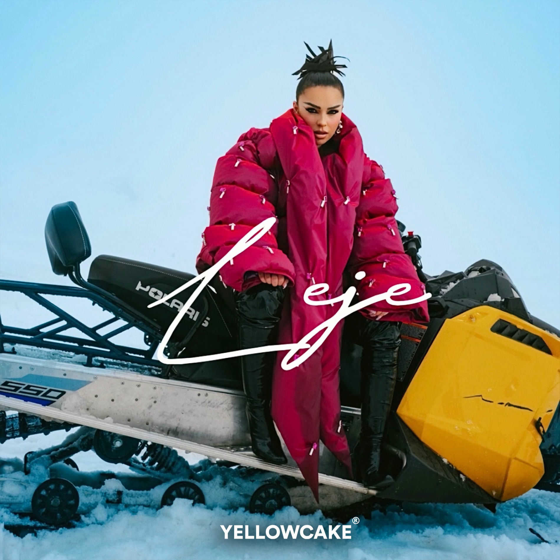 Album cover of Leje