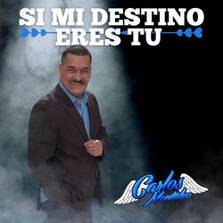 Cover of Si Mi Destino Eres Tu