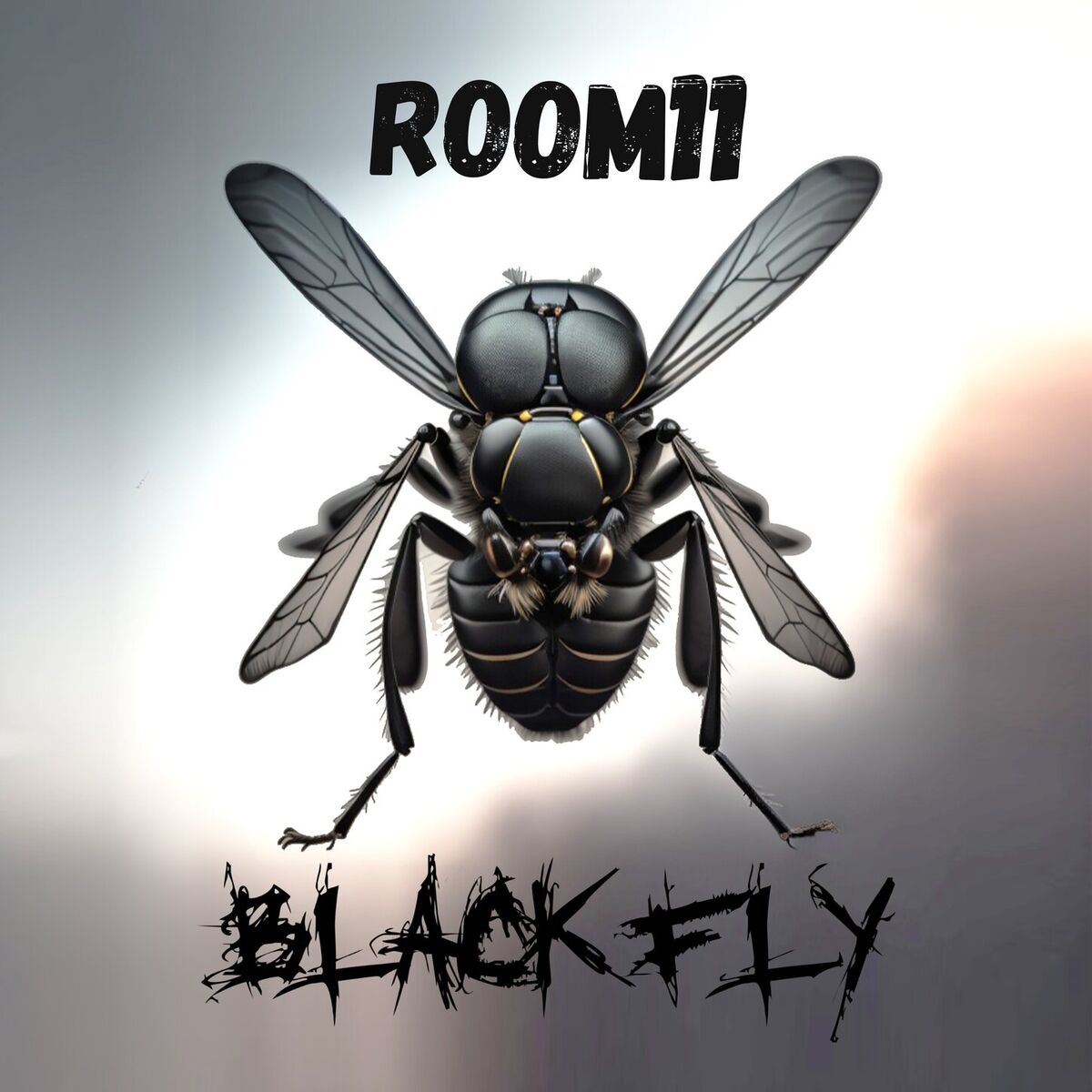 Album cover of Black Fly