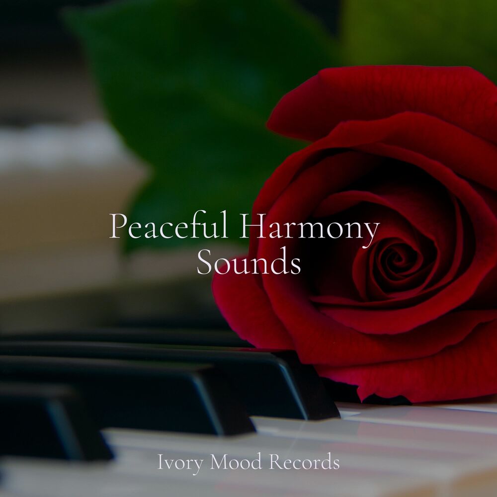 Picture of Peaceful Harmony Sounds