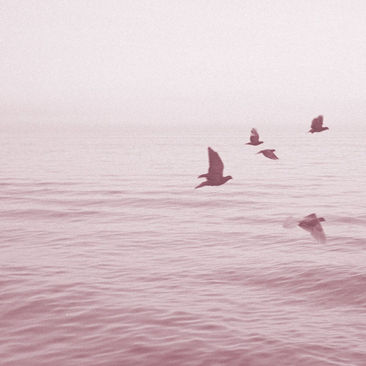 Album picture of Views from Sixteen Stories (Sun Rain Remix)