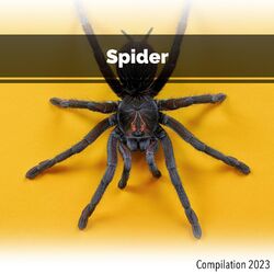 Cover of Spider Compilation 2023
